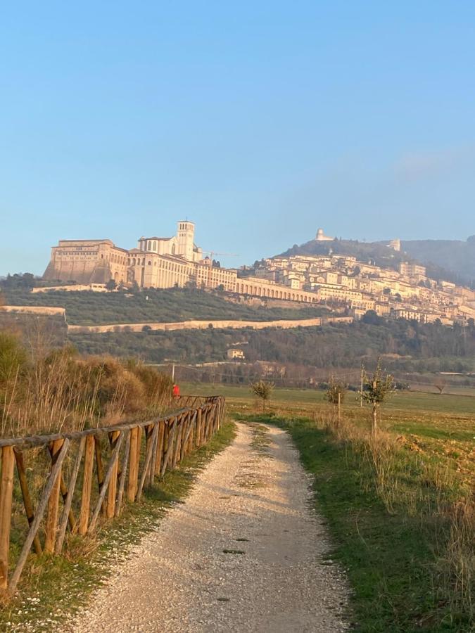 B&B Domus Benedicta Assisi Esterno foto